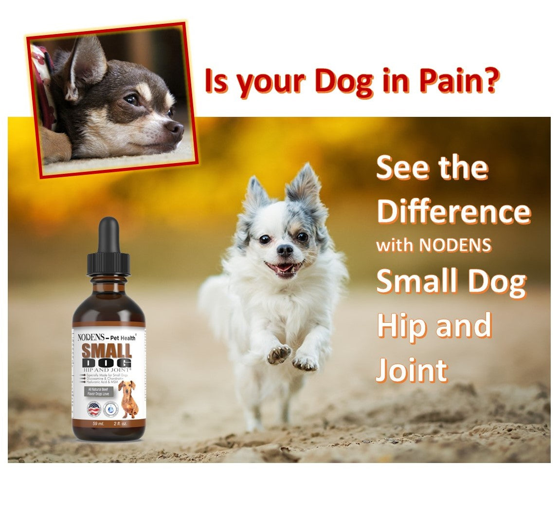 Nodens glucosamine for small dogs , is your dog in pain