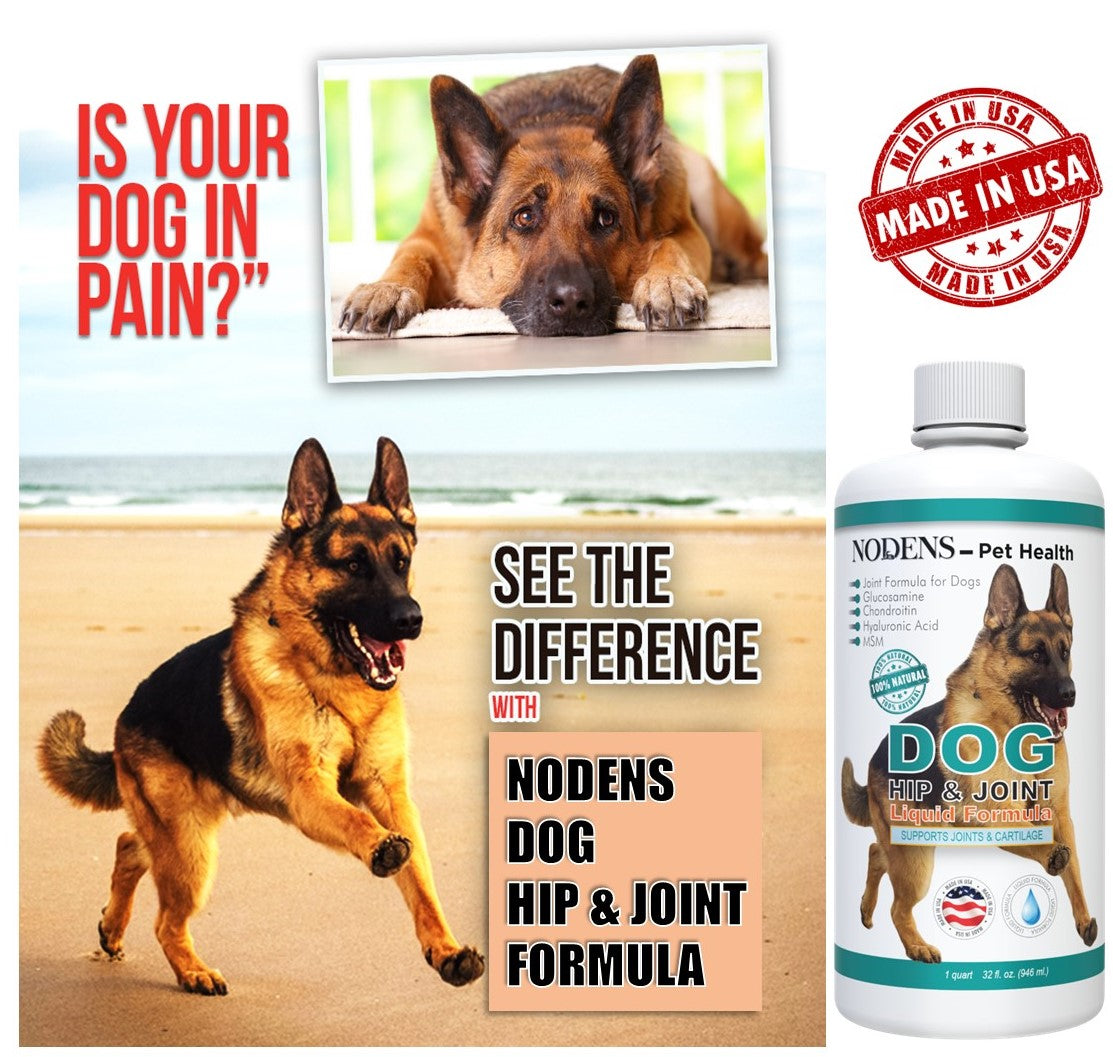 Nodens glucosamine for dogs is your dog in pain