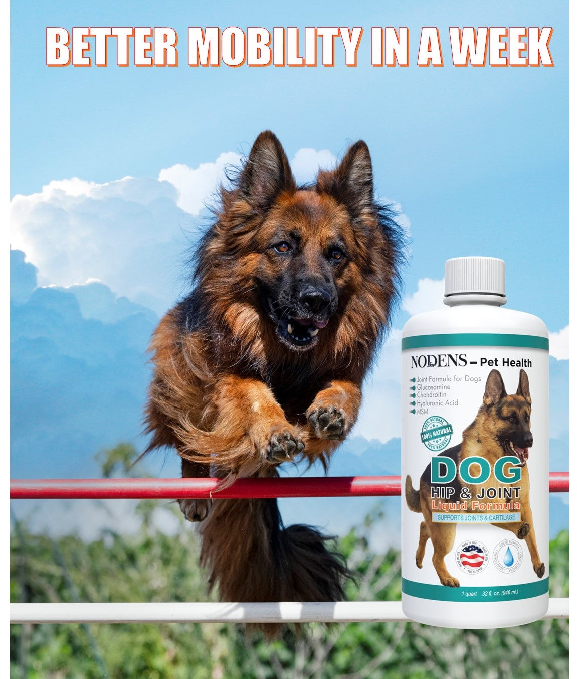 Nodens Hip and Joint for dogs  better mobility in a week