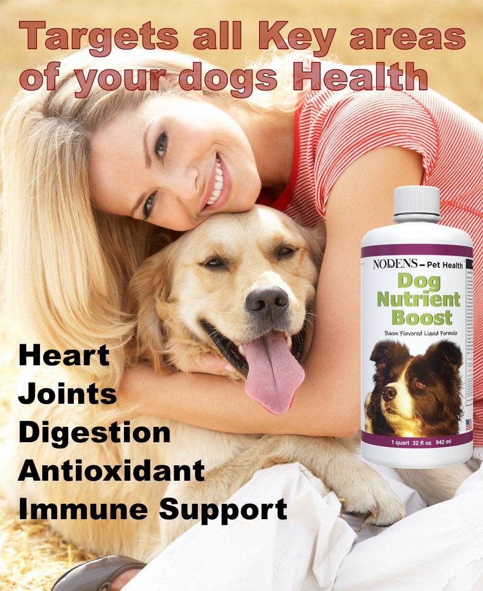 Nodens multivitamin for dogs  targets 5 key areas