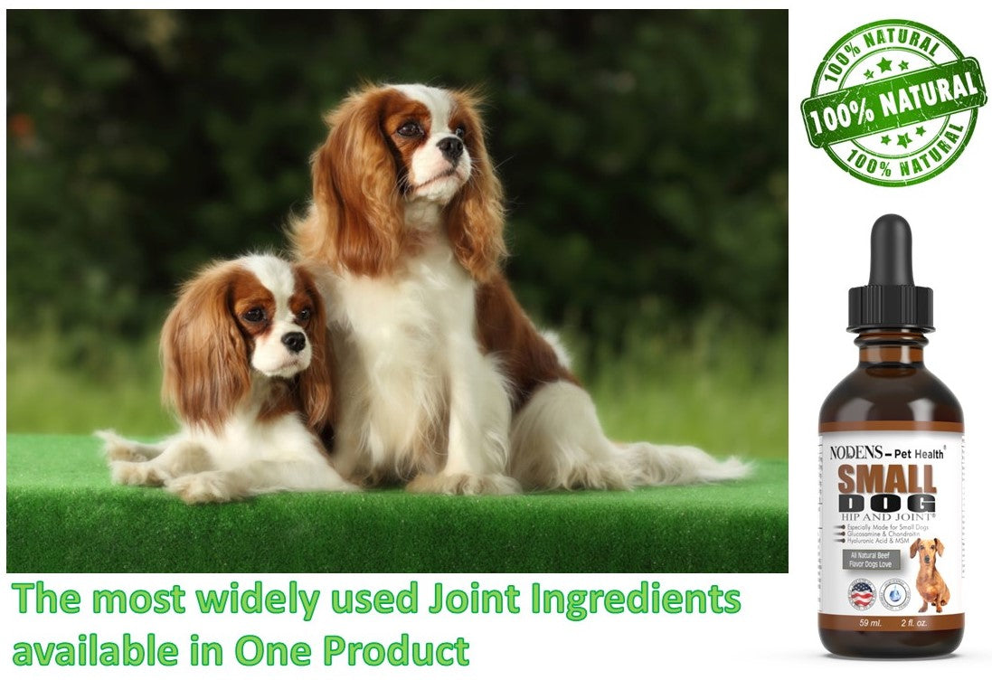 Nodens best joint supplement for small dogs  100% natural