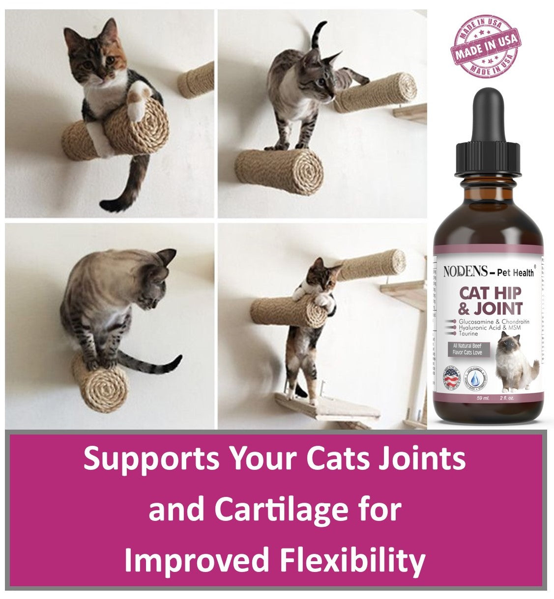 Nodens cat arthritis supplements