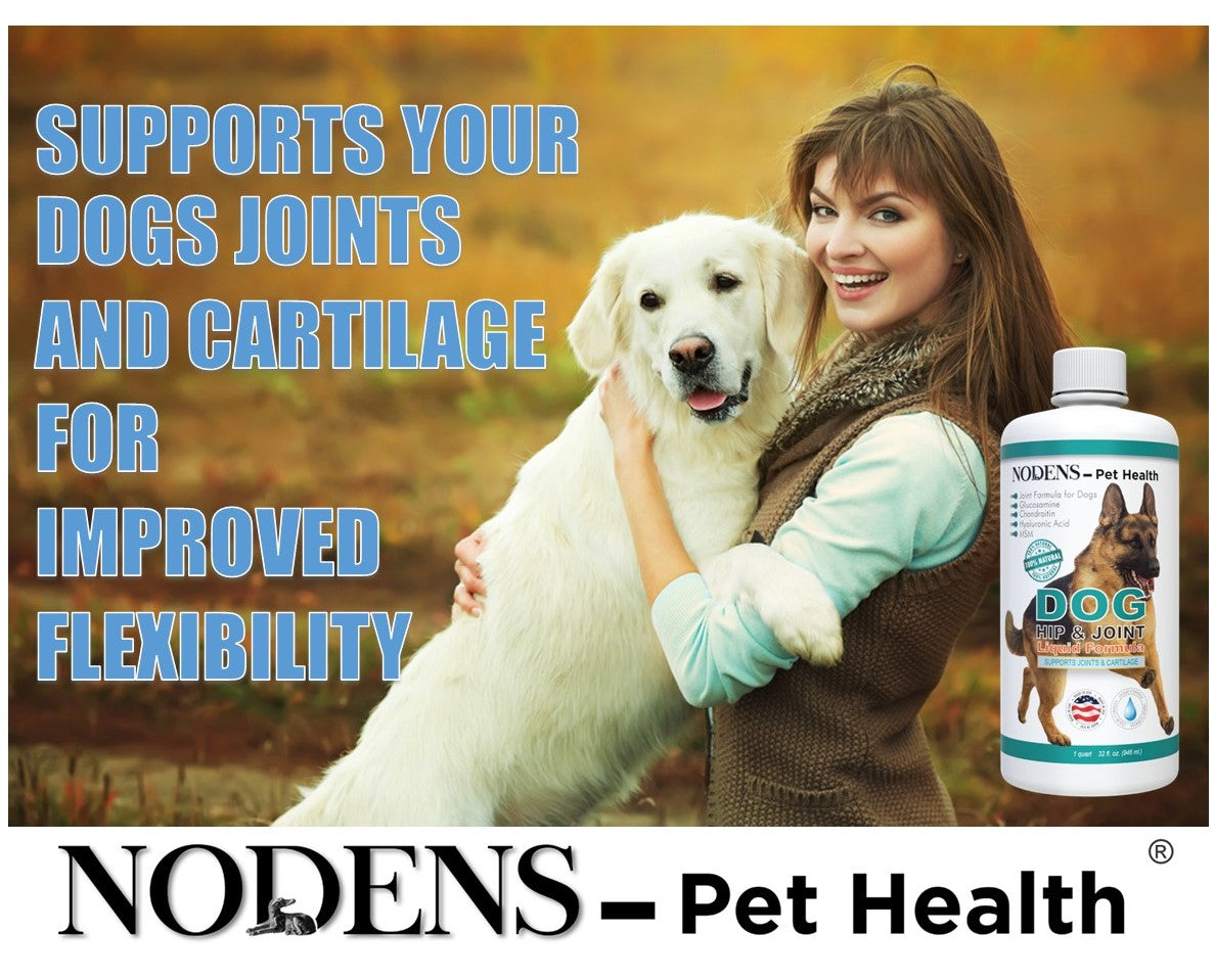 dog joint supplements supports dogs improved flexibilty