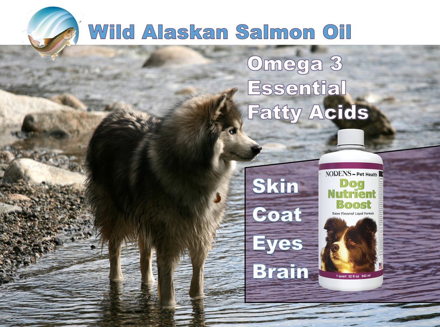 Nodens dog omega oil wild alaskan salmon oil