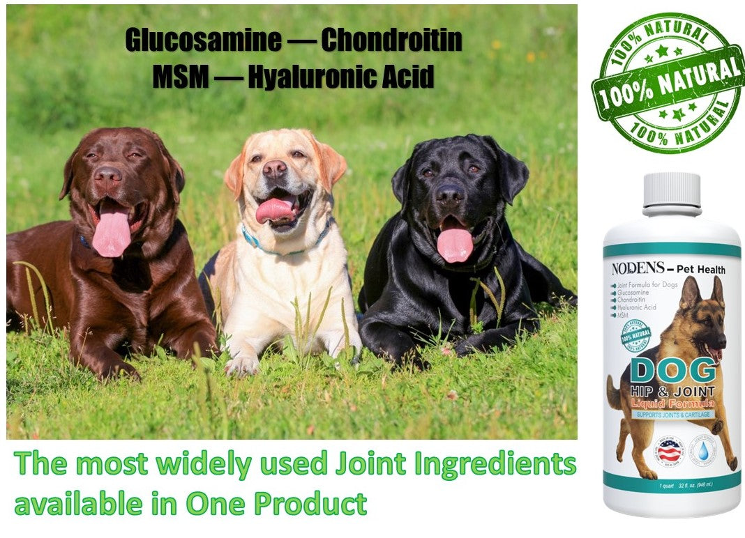 Nodens Glucosamine for dogs most widely used ingredients 100% natural