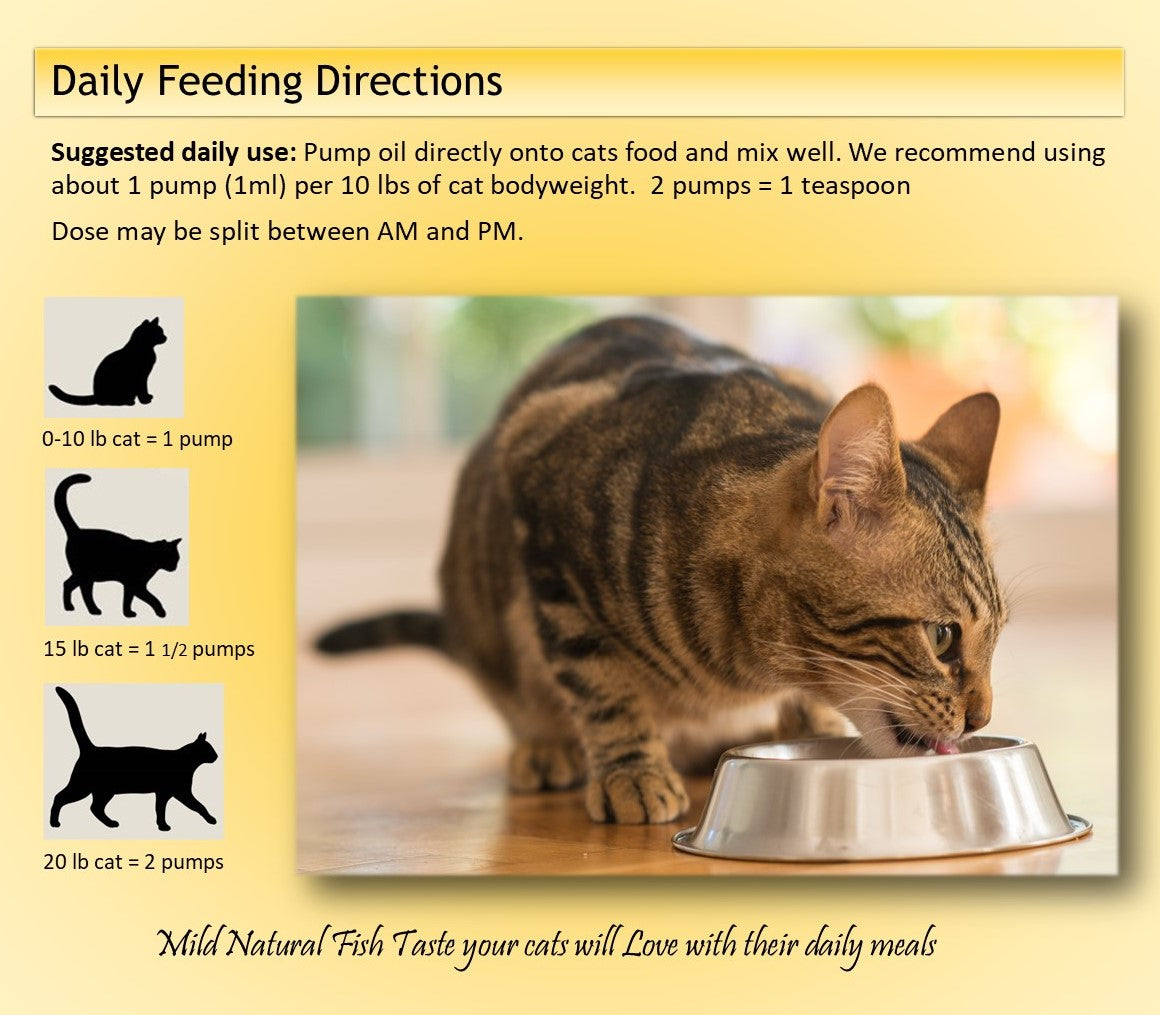 Nodens Omega-3  for cats feeding guide