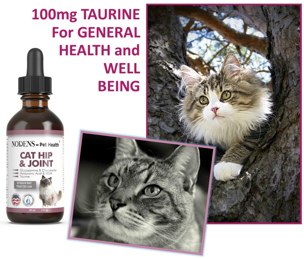 Nodens Glucosamine for cats with Taurine
