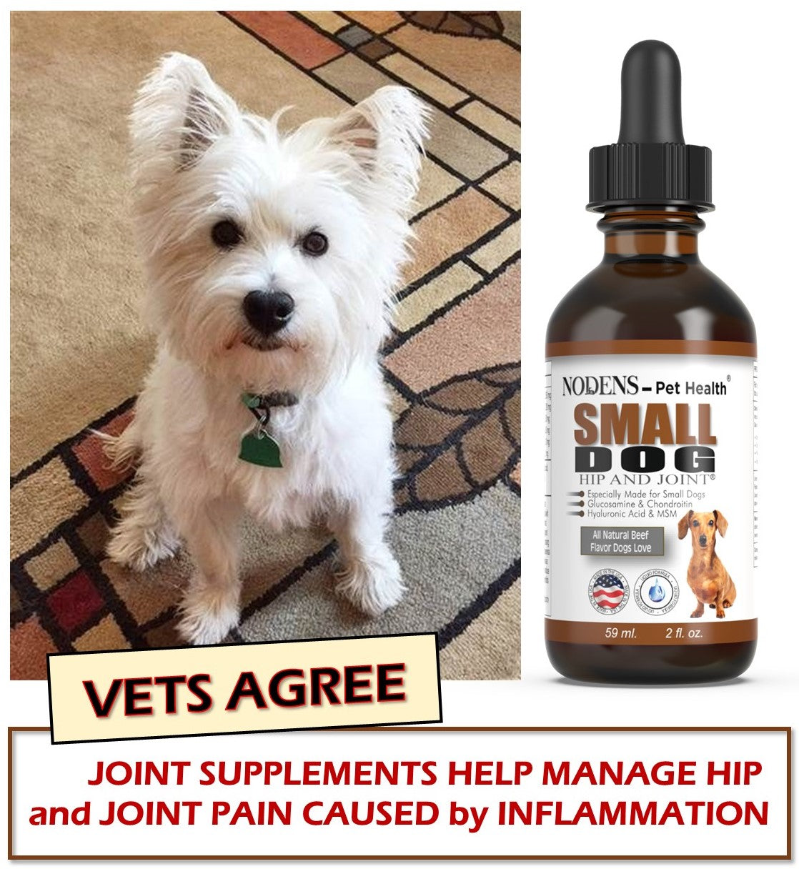 Nodens small dog arthritis supplements  Vets agree