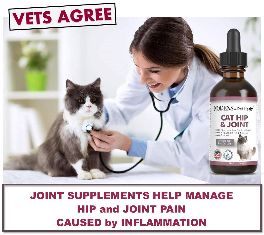 Nodens joint supplements for cats Vets agree help manage pain