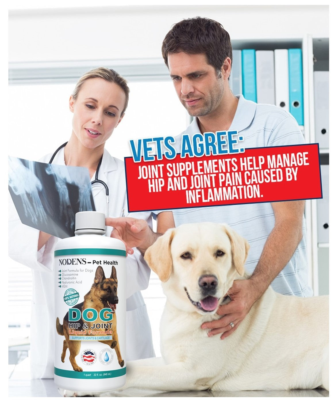 Nodens  joint care for dogs vets agree