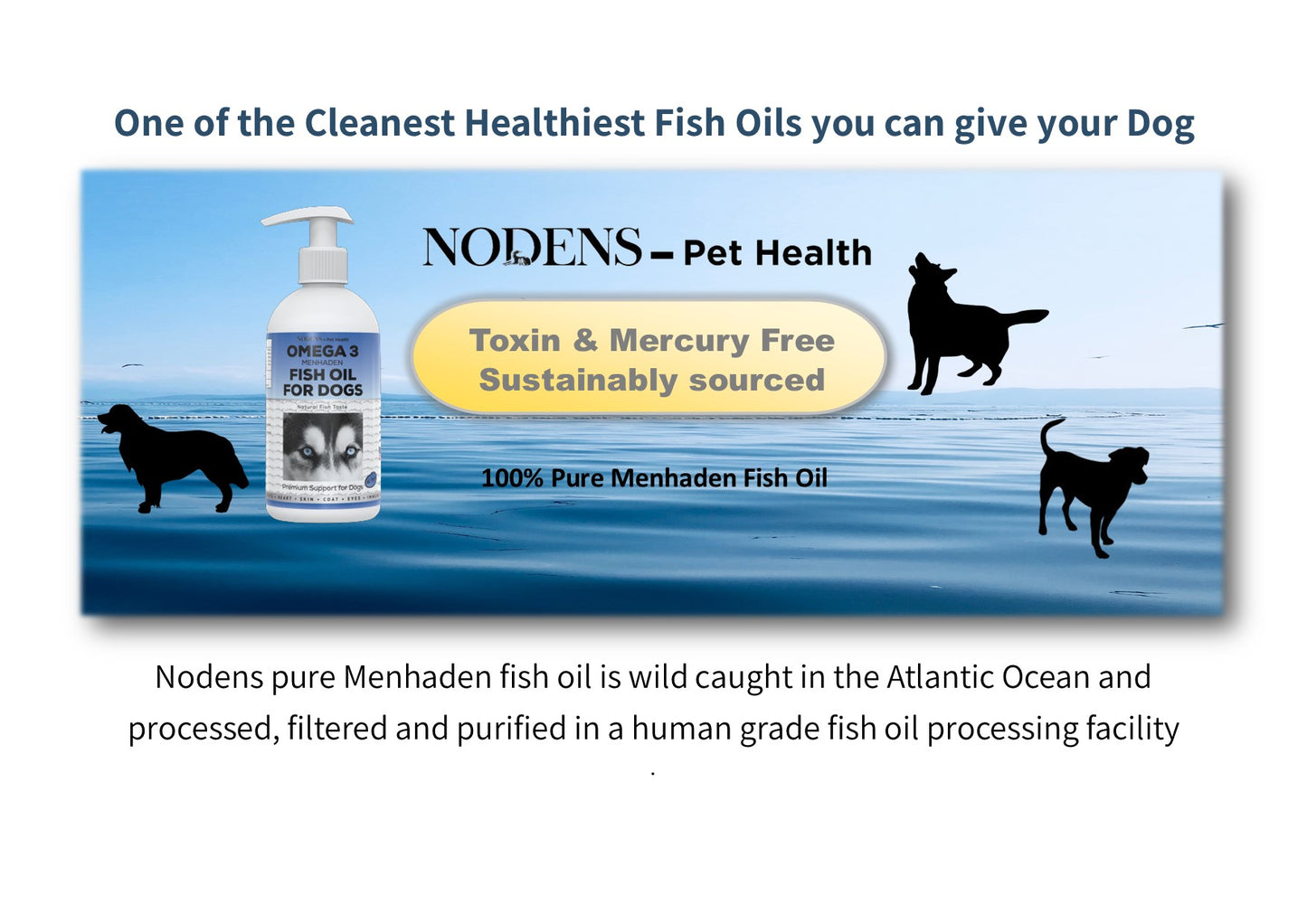 Nodens Omega 3 for Dogs, Natural DPA+EPA+DHA Fatty Acids for healthy skin & shiny coat, improved immunity, joint support, reduced allergies - pure menhaden fish oil for dogs of all ages