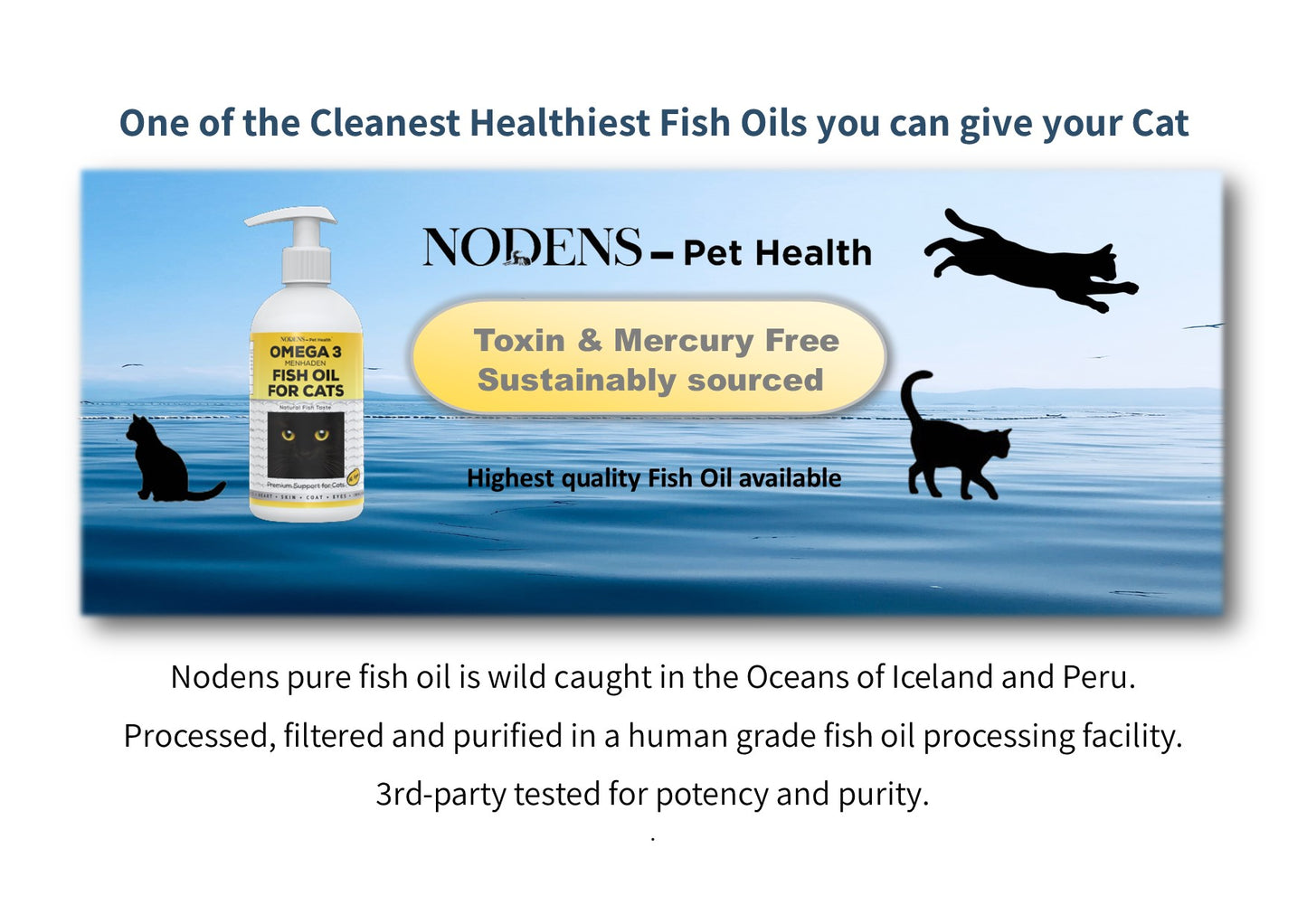 Nodens Highest Quality Fish oil available