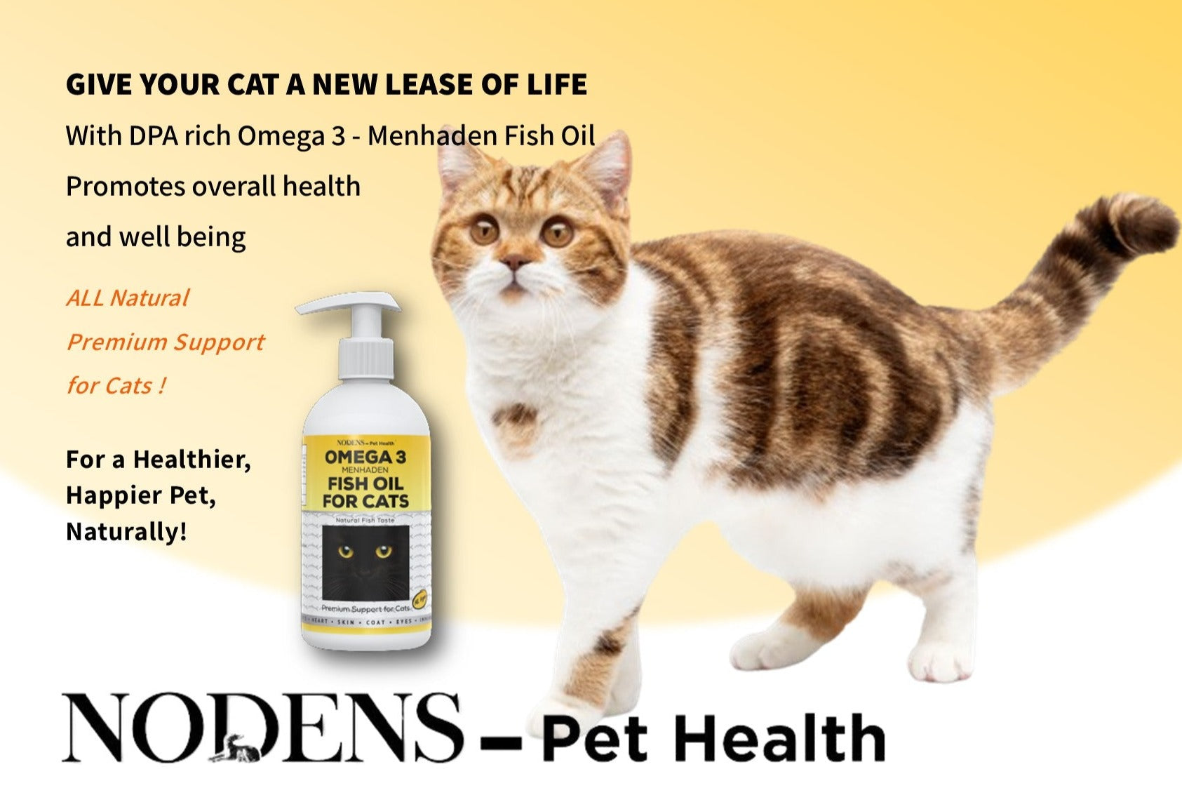 Nodens Omega 3 fish oil for cats
