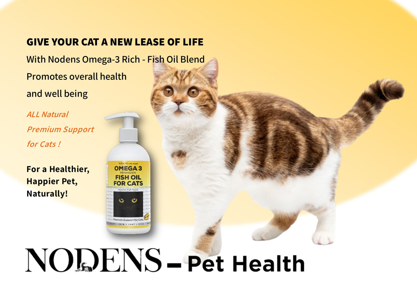 Nodens Give your Cat a new lease of life