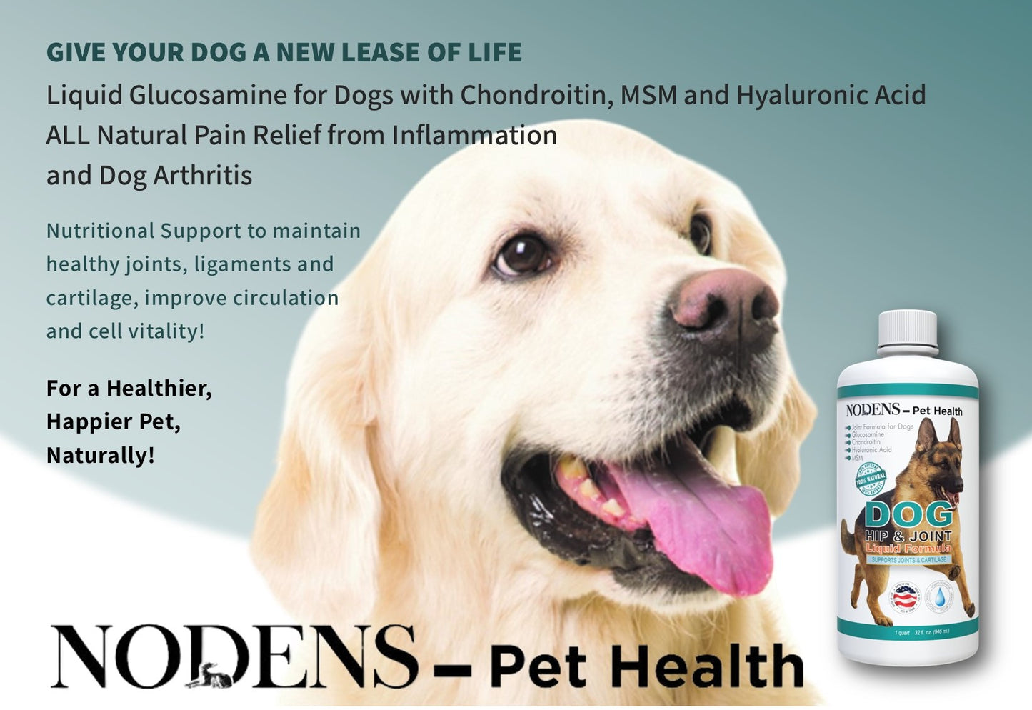 NODENS Dog Hip and Joint - Glucosamine for Dogs - Concentrated Liquid Formula - Glucosamine with Chondroitin, MSM and Hyaluronic Acid for Joint Flexibility and Pain Relief from Hip Dysplasia and Dog Arthritis