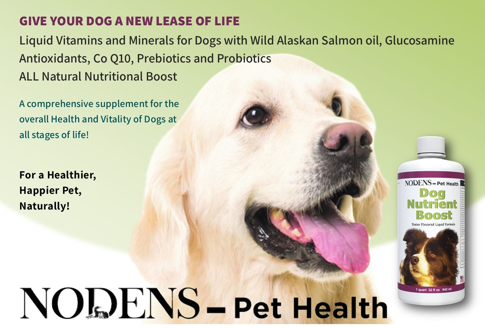 Nodens Nutrient Boost Multivitamin for Dogs - Liquid Health Supplement - Prebiotic and Probiotic for Digestion and Gut Health – Immune Support