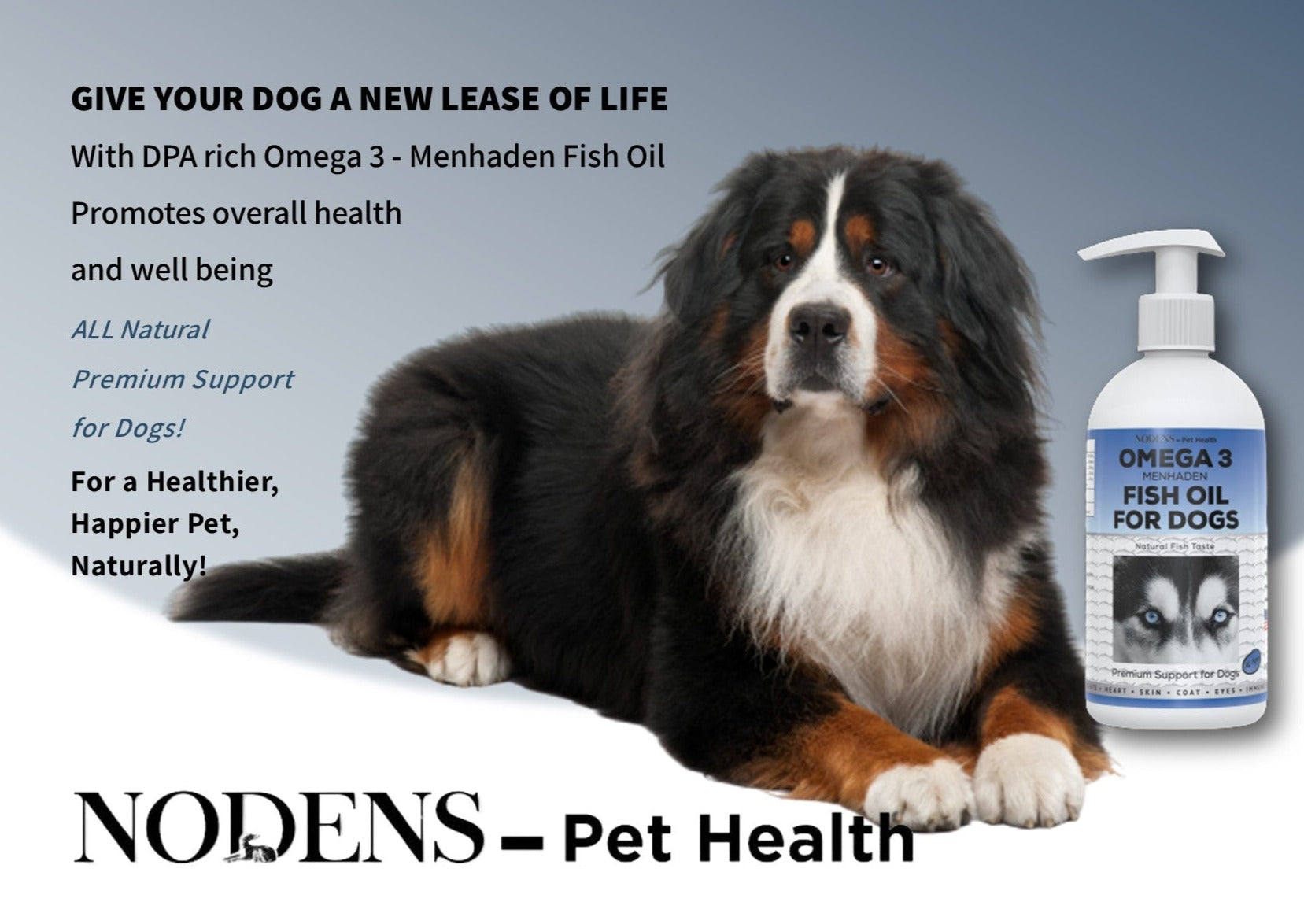 Nodens Omega 3 Fish oil for dogs