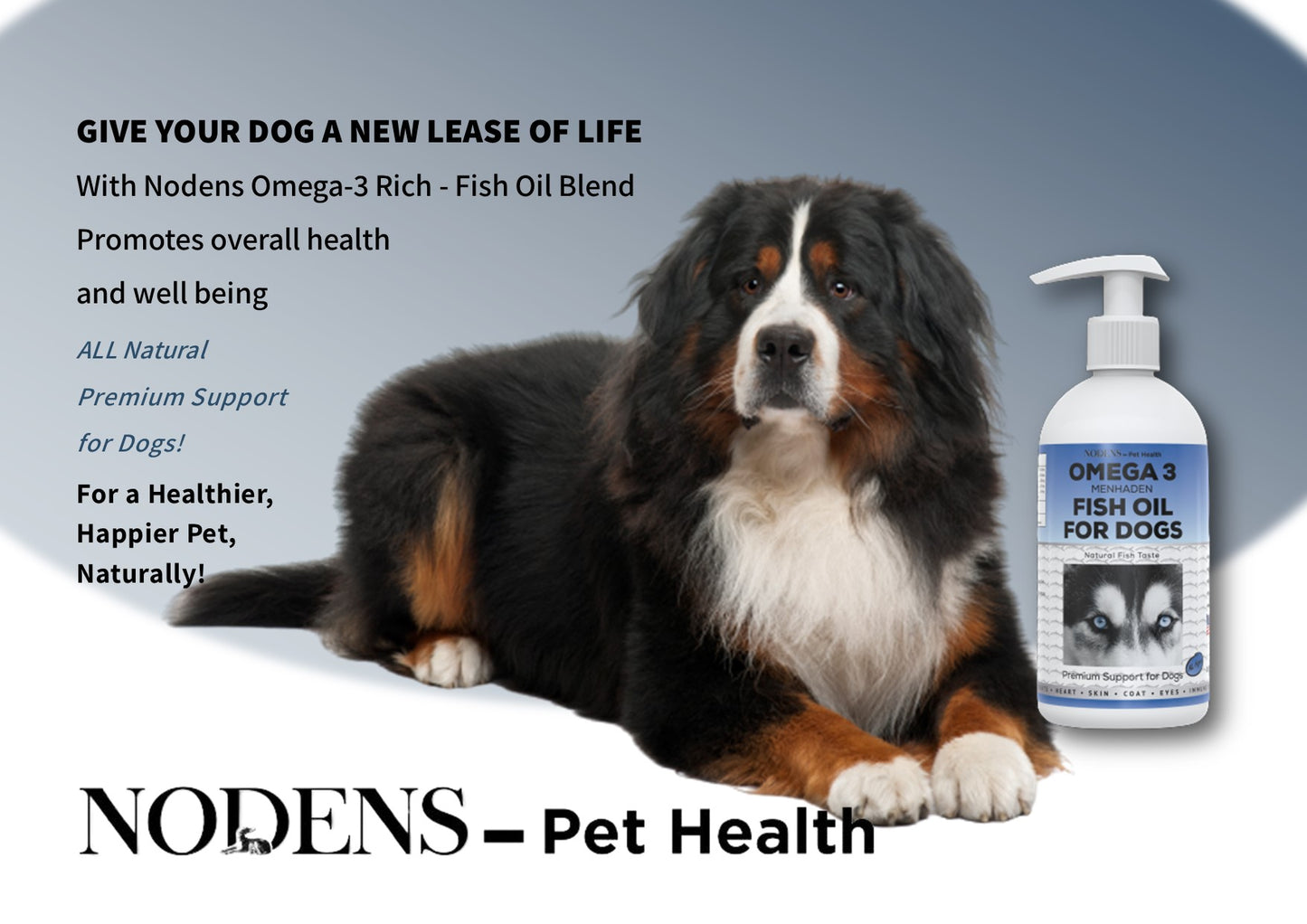 Nodens Give your Dog a new lease of life