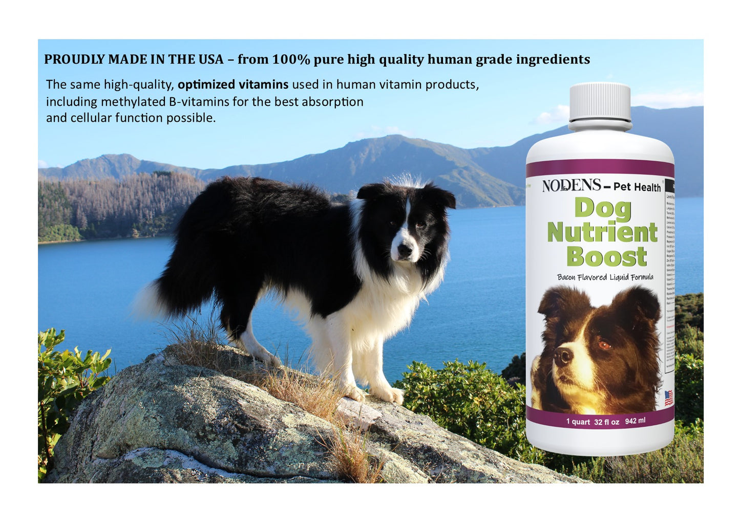 NODENS Nutrient Boost – Multivitamin for dogs - Liquid Health Supplement - Prebiotic and Probiotic for Digestion and Gut Health – Immune Support - Omega 3 Antioxidant - Multivitamins and Minerals
