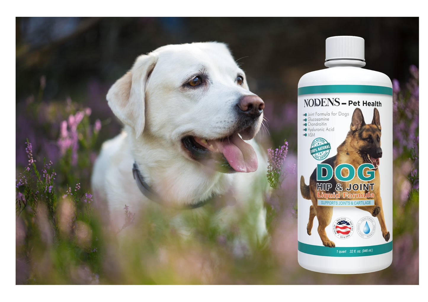 Nodens best glucosamine for dogs 