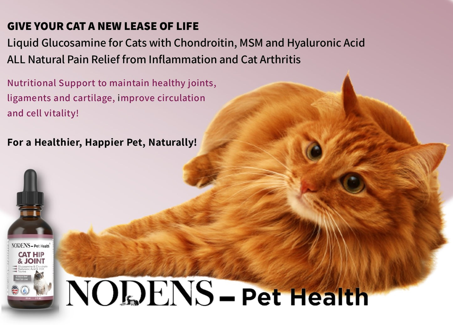 NODENS CAT Hip and Joint Liquid Glucosamine for Cats with Chondroitin and Opti-MSM® Hyaluronic Acid