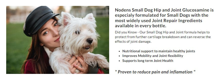 NODENS Small Dog Hip and Joint Liquid Glucosamine for Little Dogs with Chondroitin & Opti-MSM®, Hyaluronic Acid